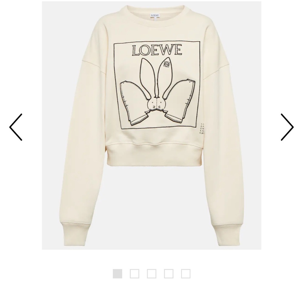 Loewe sweater
